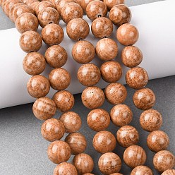 Яшма с Узором Тигры Нити бусин из натуральной тигровой яшмы, круглые, 12~12.5 мм, отверстие : 1 мм, около 33 шт / нитка, 15.75'' (40 см)