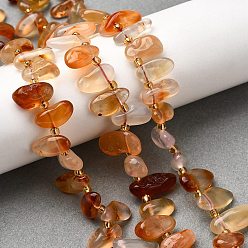 Красный Агат Природного сердолика нитей бисера, самородки, Топ пробуренной, упавший камень, с бисером, 9.5~20x4~9x4.5~6 мм, отверстие : 1 мм, около 49~60 шт / нитка, 14.96''~16.14'' (38~41 см)