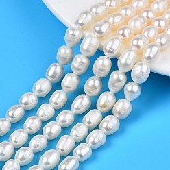 Seashell Color Natural Cultured Freshwater Pearl Beads Strands, Rice, Seashell Color, 8.5~13x7~8mm, Hole: 0.8mm, about 16~19pcs/strand, 7.05 inch~7.40 inch(17.9cm~18.8cm)