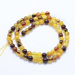 Amber Natural Amber Beads Strands, Round, 6mm, Hole: 1mm, about 63~66pcs/strand, 15.7 inch(40cm)