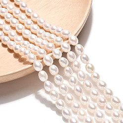 Кремово-белый Нити из натурального культивированного пресноводного жемчуга, рис, оценка 4ab, кремово-белые, 6~8x5.5~6 мм, отверстие : 0.6 мм, около 56~58 шт / нитка, 15.35~15.75 дюйм (39~40 см)