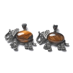 Тигровый глаз Натуральный тигровый глазный кулон, с латунной фурнитурой , без свинца и без кадмия, слон, 22.5x33.5x7.5 мм, отверстие : 5.5x4.5 мм