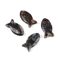 Glaucophane Подвески из натурального глаукофана, рыбы прелести, 23.5~24.5x12x5~6 мм, отверстие : 2 мм