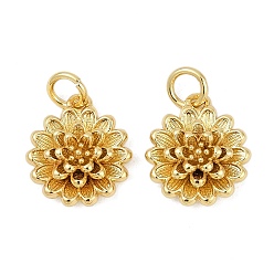 Настоящее золото 18K Латунь прелести, цветок, с целью перехода в кольце, без кадмия и без свинца, стойки покрытие, долговечный, реальный 18 k позолоченный, 13.5x11.5x3.8 мм, отверстие : 3.4 мм