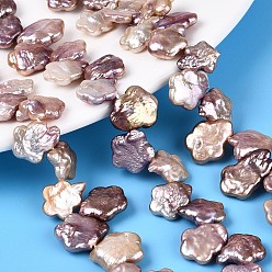 чертополох Натуральный жемчуг в стиле барокко кеши, зарождающаяся жемчужина, цветка сливы, Топ пробуренной, чертополох, 10.5~17x10~14x2.5~7 мм, отверстие : 0.6 мм, около 23~34 шт / нитка, 7.68~8.27 дюйм (19.5~21 см)