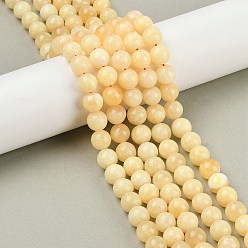 Кальцит Нити бусин из натурального желтого кальцита, круглые, 10 мм, отверстие : 1 мм, около 40 шт / нитка, 15.43 дюйм (39.2 см)