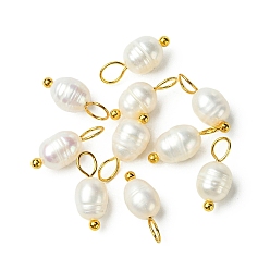 Фора 10шт. натуральный культивированный пресноводный жемчуг рисовые подвески, с медными петлями, золотые, оранжевые, 12~13 мм, отверстие : 2.5 мм