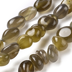 Цвет Оливы Природный агат бисер нитей, упавший камень, окрашенная и подогревом, самородки, оливковый, 8~16x9~13x9~12 мм, отверстие : 1.4 мм, около 36~42 шт / нитка, 14.96 дюйм (38 см)
