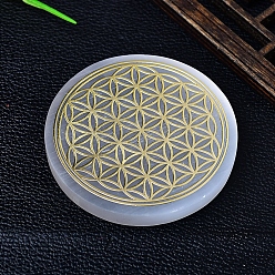 Звезда Натуральный марокканский селенит чашка коврик скульптура дисплей украшения, для домашнего офисного стола, звезда, 63x6 мм