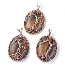 Tiger Eye Natural Tiger Eye Big Pendants, with Rose Gold Tone Brass Findings, Oval with Tree of Life, 56~58.5x35~36x12~13.8mm, Hole: 4.2~5.2x4.6~6mm