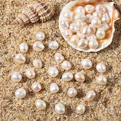 Морская Ракушка 10шт. натуральные пресноводные жемчужные бусины, двух сторон полированной, цвет морской раковины, 8~9.5x8~9.5x6.5~7.5 мм, отверстие : 0.7 мм