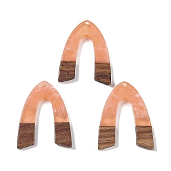 Легкий Лосось Подвески из смолы и дерева, арочные прелести, светлый померанцевый, 37.5x28.5x3.5 мм, отверстие : 2 мм