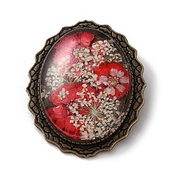 Красный Ретро-значки из сплава для лацканов, рюкзаков и одежды., овал с сухоцветом, античная бронза, красные, 50x40 мм