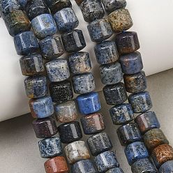 Dumortiérite Perles de dumortiérite naturelles, colonne, 8x8.5mm, Trou: 1mm, Environ 49 pcs/chapelet, 15.55'' (39.5 cm)