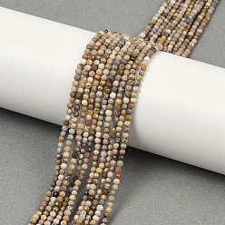 Alashan Agate Бусы из натурального алашанского агата, граненые, круглые, 2 мм, отверстие : 0.5 мм, около 156 шт / нитка, 14.96"~15.35" (38~39 см)