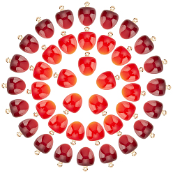 (52) Непрозрачная лаванда 40 шт 2 цвета пластиковые подвески, с золотистыми пластиковыми петлями ccb, черри прелести, разноцветные, 20x15 мм, отверстие : 1.2 мм, 20 шт / цвет