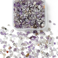 Аметист 50g бусины из натурального аметиста, нет отверстий / незавершенного, 2~12x2~10x1~3 мм