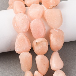 Другие Нефриты Нити бусин из натурального красного нефрита, самородки, 11~25x8~18x3~17 мм, отверстие : 0.8 мм, около 20~25 шт / нитка, 14.96'' (38 см) ~ 15.75'' (40 см)