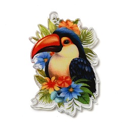 Toucan Акриловые подвески, животные, тукан, 44x29x1.7 мм, отверстие : 1.6 мм