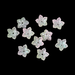 Белый Окрашенные и нагретые стеклянные колпачки для бусин, 5-лепестков цветка, белые, 9x9.5~10x3.8 мм, отверстие : 1 мм