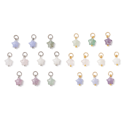 Золотой & Цвет Нержавеющей Стали 10 шт. 5 стили подвески-звезды из натурального белого нефрита, розового кварца, лепидолита, зеленого авантюрина и синтетического голубого кружевного агата, с 304 кольцами из нержавеющей стали, смешанные окрашенные и неокрашенные, золотые и нержавеющая сталь цвет, 11.5x7.5x4.5 мм, отверстие : 3 мм, 2 шт / стиль