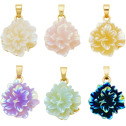 (52) Непрозрачная лаванда 12 шт. 6 цвета УФ-покрытие латунные подвески, цветок, cmолой, радужный, стойки покрытие, долговечный, без свинца и без кадмия, реальный 18 k позолоченный, разноцветные, 18x16x8 мм, отверстие : 5x2 мм, 2 шт / цвет