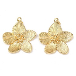 Настоящее золото 18K Латунные подвески, цветок, с прыжковых колец, без свинца и без кадмия, долговечный, стойки покрытие, реальный 18 k позолоченный, 32x30x5 мм, отверстие : 3 мм