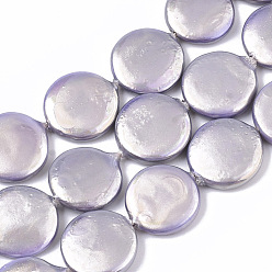 Chardon Brins de perles de coquille d'eau douce naturelles peintes, plat rond, chardon, 15x3~4mm, Trou: 1mm, Environ 22 pcs/chapelet, 13.78 pouce (35 cm)