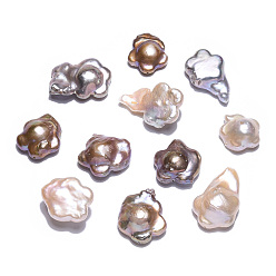 Rosy Brown Baroque Natural Nucleated Keshi Pearl Beads, Cultured Freshwater Pearl, Flower, Rosy Brown, 15.5~32.5x15~18x6.5~10mm, Hole: 0.8mm