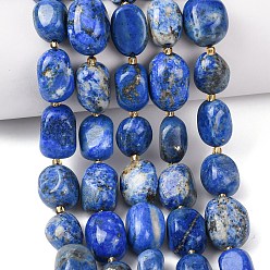 Ляпис-Лазурь Нитки бусины из натурального ляписа-лазури, самородки, упавший камень, с бисером, 12~20x9~15x7~15 мм, отверстие : 1 мм, около 21~24 шт / нитка, 15.35''~15.75'' (39~40 см)