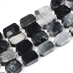 Орлиный Глаз Камень Натуральный орлиный глаз бусы, с бисером, прямоугольные, 12~12.5x8~9x4~4.5 мм, отверстие : 0.9 мм, около 14 шт / нитка, 7.68'' (19.5 см), бисер: 3x3x2, отверстие : 0.8 мм.