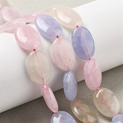 (52) Непрозрачная лаванда Натуральный Malaysia нефритовые бусы пряди, окрашенные, Плоско-овальные, разноцветные, 18x13x5 мм, отверстие : 1 мм, около 10~11 шт / нитка, 7.28''~7.87'' (18.5~20 см)