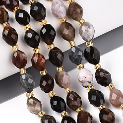 Деревянное Окаменение Природные окаменелое дерево бисер пряди, граненые, овальные, с бисером, 8~9x6~8 мм, отверстие : 1~1.2 мм, около 17~19 шт / нитка, 7.09~7.87 дюйм (18~20 см)