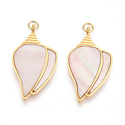 Раковина 304 подвески из натуральной ракушки из нержавеющей стали, подвески-ракушки с соединительными кольцами, реальный 18 k позолоченный, ионное покрытие (ip), 28x15.5x3 мм, отверстие : 2.5 мм