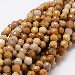 Fossil Coral Faceted Round Natural Fossil Coral Bead Strands, 6mm, Hole: 1mm, about 68pcs/strand, 15.3 inch