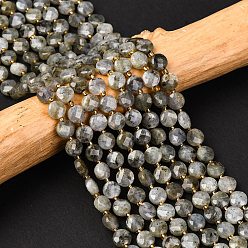 Лабрадорита Природные лабрадорита бисер нитей, с бисером, граненые, плоско-круглые, 6~6.5x4 мм, отверстие : 1 мм, около 50 шт / нитка, 15.35'' (39 см)