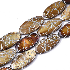 Peru Freshwater Shell Beads Strands, Dyed and Drawbench, Oval, Peru, 30~32x15~17x3~5mm, Hole: 1mm, 13pcs/strand, 16.14 inch