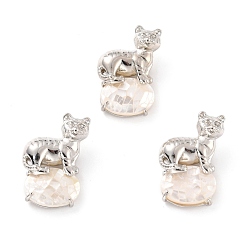 Лавандовый румянец Подвески из раковины, с платиновой и латунной фурнитурой, тигр с овалом, лавандовый румянец, 32x20.5x8.5 мм, отверстие : 6x7 мм