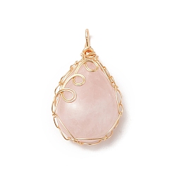 Rose Quartz Natural Rose Quartz Copper Wire Wrapped Pendants, Teardrop Charms, Golden, 33x20x19mm, Hole: 3.5x3mm