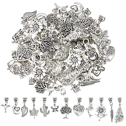 Античное Серебро 60 шт 12 стили европейские подвески из сплава в тибетском стиле, разнообразные, античное серебро, 23~40 мм, отверстие : 4 мм, 5 шт / стиль