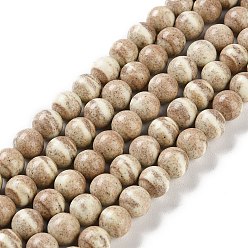 Светло-хаки Натуральные бусины из радужного алашанского агата, окрашенные, два тона, круглые, светлый хаки, 8 мм, отверстие : 0.7 мм, около 50 шт / нитка, 15.94 дюйм (40.5 см)