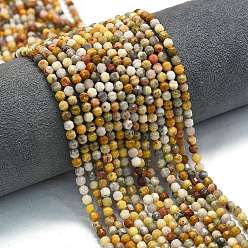 Сумасшедший Агат Натуральные сумасшедшие кружевные агатовые бусины, энергетическая призматическая огранка с двойными концами бусины, граненые двухконусные, 4x4.5 мм, отверстие : 0.4 мм, около 83 шт / нитка, 14.96'' (38 см)