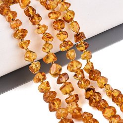 Amber Natural Amber Beads Strands, Chip, with Seed Beads, 4~8x4~8x3~6mm, Hole: 0.6~0.7mm, about 64~65pcs/strand, 14.76~14.96 inch(37.5~38cm)
