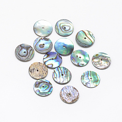 Colorful Natural Paua Shell Beads, Flat Round, Colorful, 11~12x1mm, Hole: 1mm