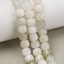 White Moonstone Натуральный белый лунный камень бисер пряди, бочкообразные бусины старого образца, 8~8.5x7 мм, отверстие : 1 мм, около 25 шт / нитка, 7.48'' (19 см)