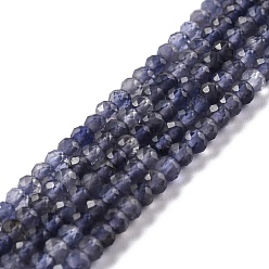 Iolite Natural Iolite Beads Strands, Faceted, Rondelle, 4x3mm, Hole: 0.8mm, about 137pcs/strand, 15.55''(39.5cm)