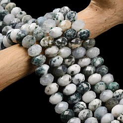 Древесный агат Натурального дерева агат бисер нитей, граненые, рондель, 8x5.5 мм, отверстие : 1.2 мм, около 69 шт / нитка, 15.16'' (38.5 см)