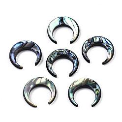 Coquille Paua Coquille de paua naturelle / perles de coquille d'ormeau, croissant de lune, pas de trous / non percés, 20x19x4mm