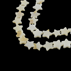 Trochus Shell Star Natural Trochid Shell/Trochus Shell Beads Strands, 11~13x12~14x2~4mm, Hole: 1mm, about 32pcs/strand, 14.5 inch