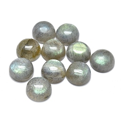 Лабрадорита Природные кабошон лабрадора, полукруглые / купольные, 10x5 мм
